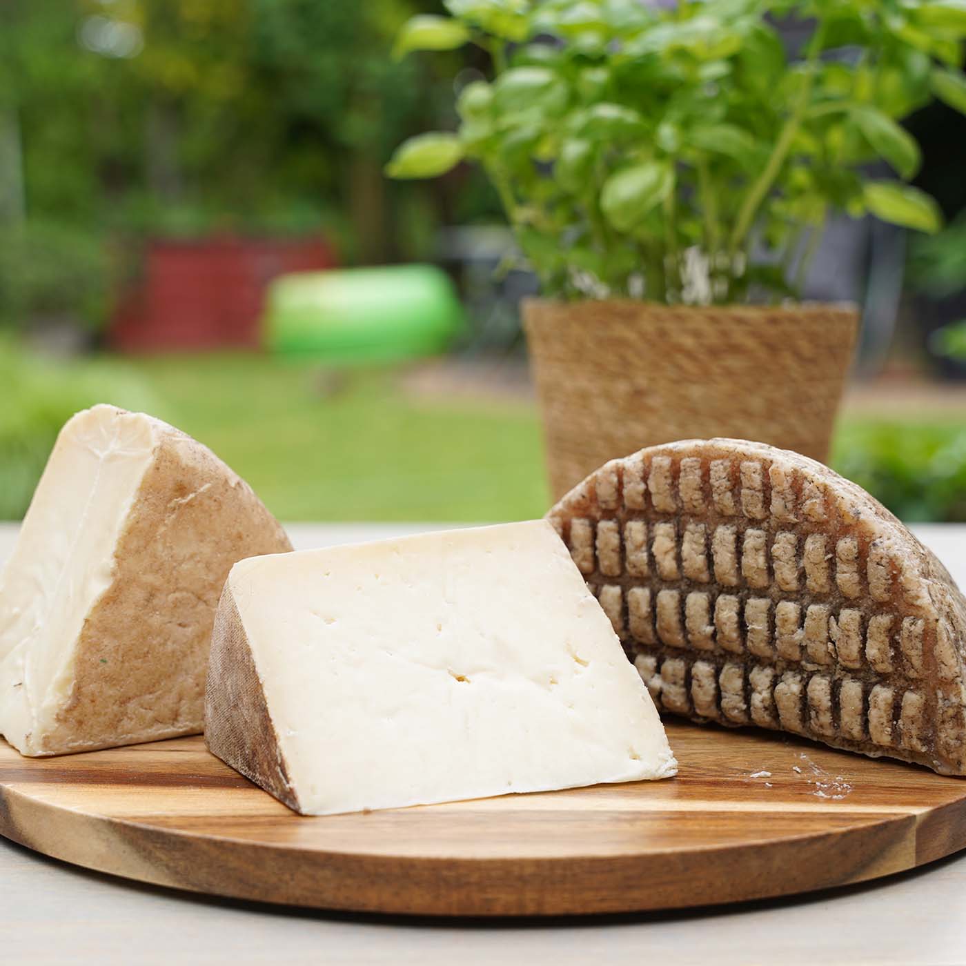 Ziegenkäse "Cabra la Nava"